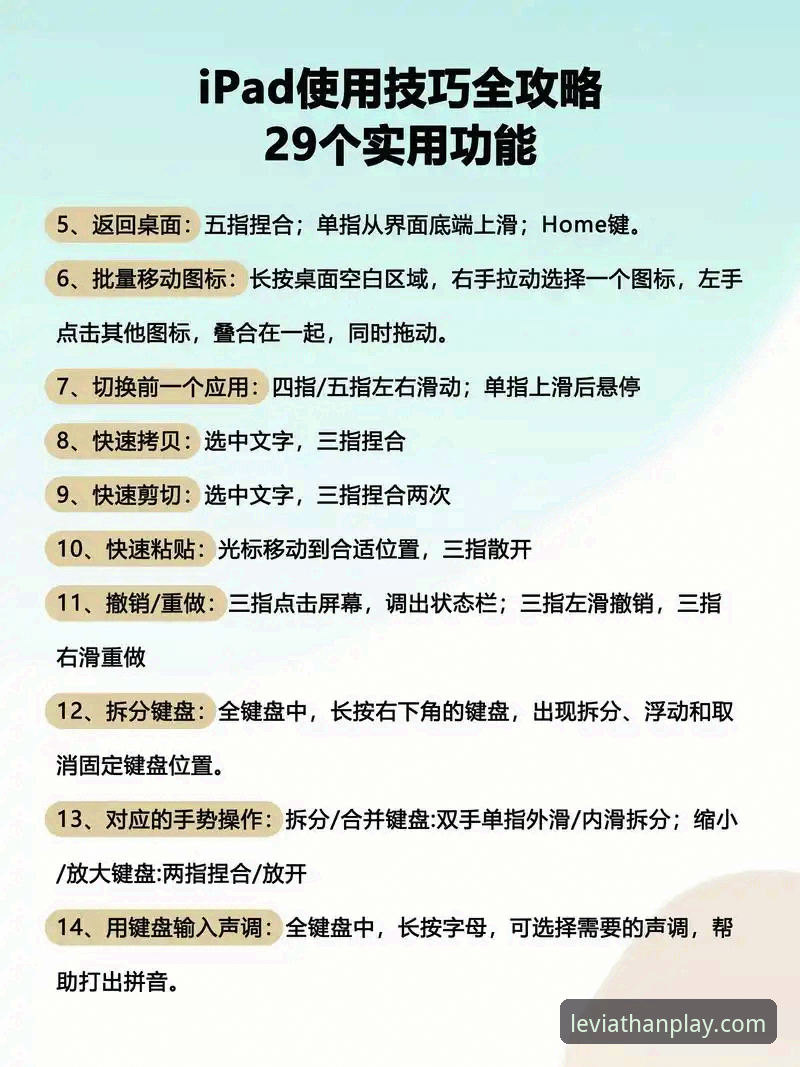 乐鱼体育平台使用教程 · 从官网首页到高清直播的完整操作指南